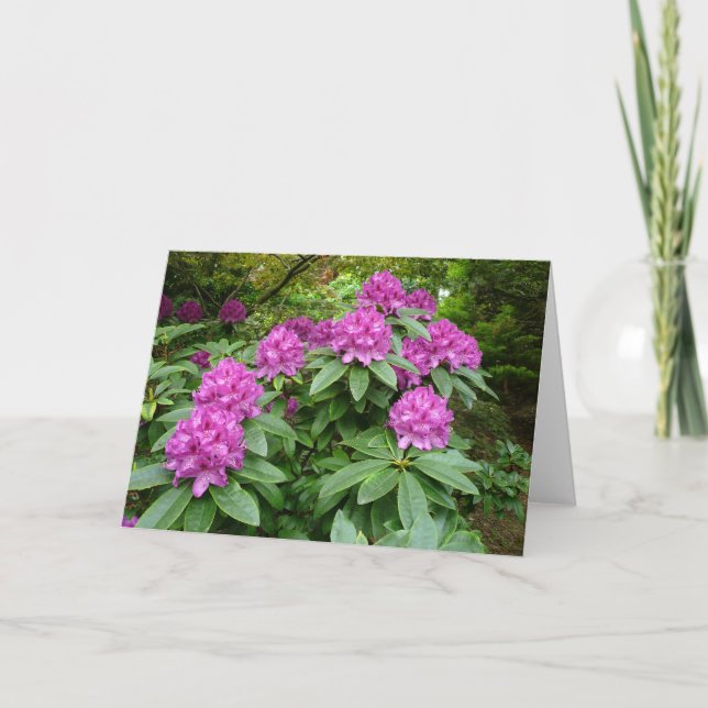 Rhododendron Ponticum Card (Front)