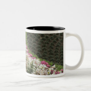 Rhododendron (Rhododendron catawbiense) Heath Two-Tone Coffee Mug