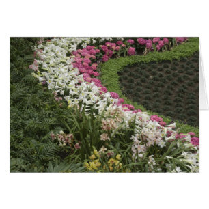 Rhododendron (Rhododendron catawbiense) Santé