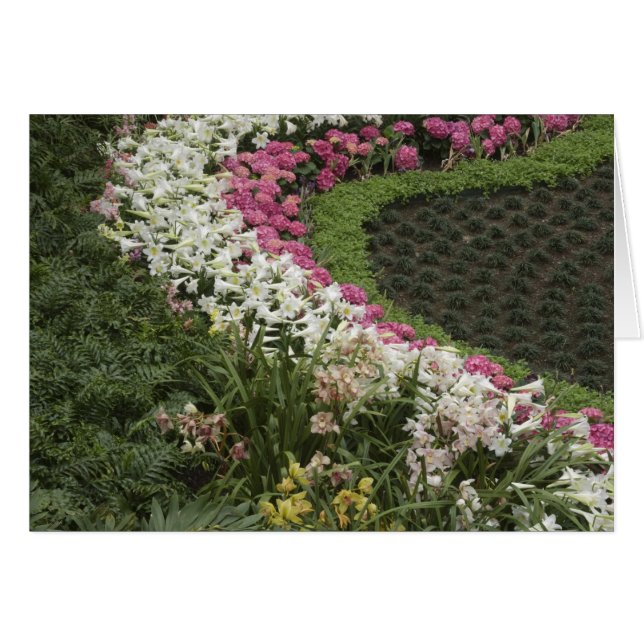 Rhododendron (Rhododendron catawbiense) Santé (Devant horizontal)