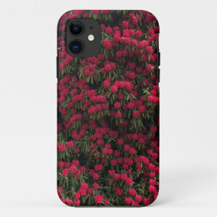 Rhododendron Shrub in Full Flower iPhone 11 Case