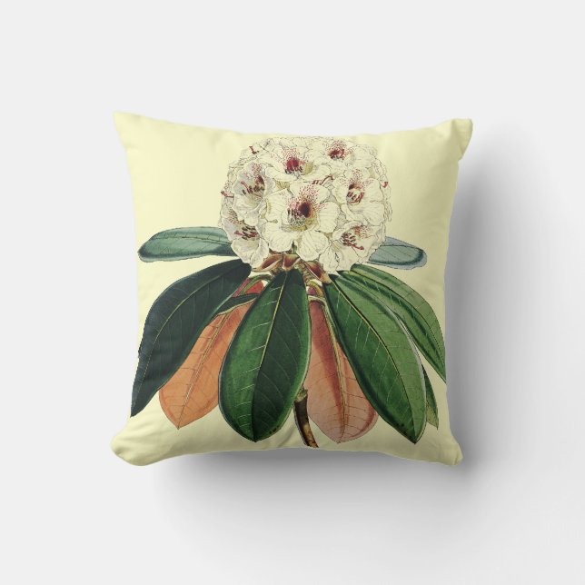 Rhododendron vintage botanical illustration throw pillow (Front)