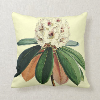 Rhododendron vintage botanical illustration throw pillow