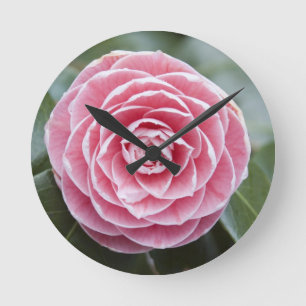 Rhododendron Wall Clock