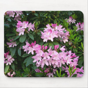 Rhododendrons IV Mouse Pad