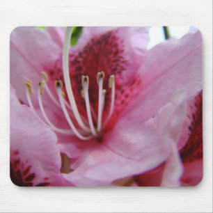 RHODODENDRUM Flowers MOUSE PADS MOUSEPAD