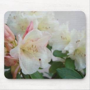 RHODODENDRUMS Flowers MOUSE PADS MOUSEPAD