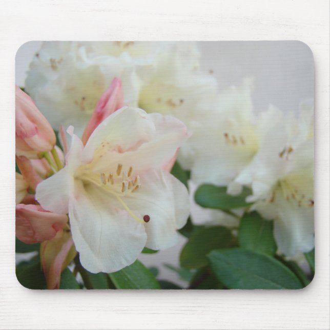 RHODODENDRUMS Flowers MOUSE PADS MOUSEPAD (Front)