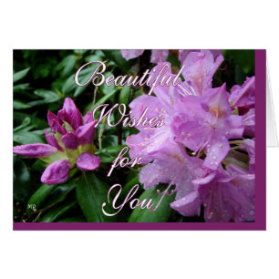 Rhododrendron Wishes-customize