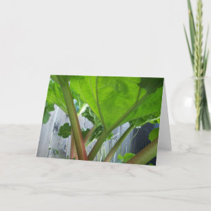 Rhubarb card