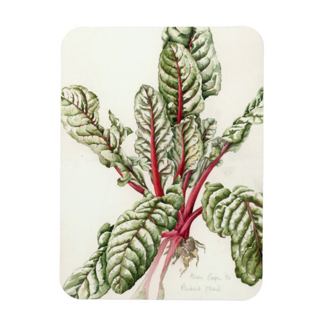 Rhubarb Chard 1992 Magnet (Vertical)