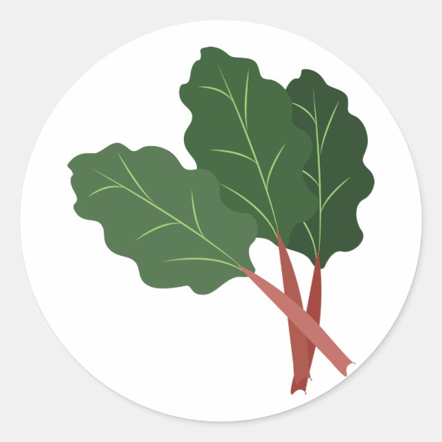 Rhubarb Plant Classic Round Sticker (Front)