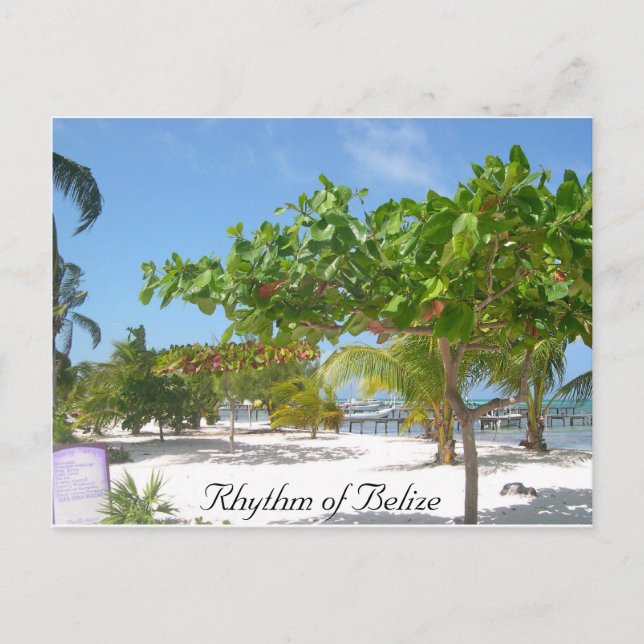 Rhythm of Belize Postcard (Front)
