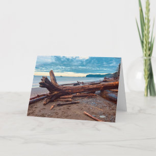 Rialto Beach, Olympic National Park, Washington Thank You Card