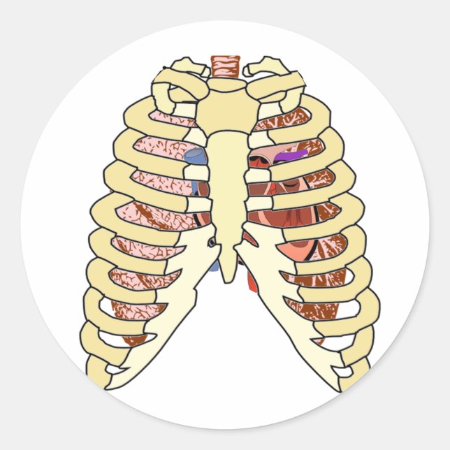 Rib Cage Lungs & Heart Classic Round Sticker (Front)