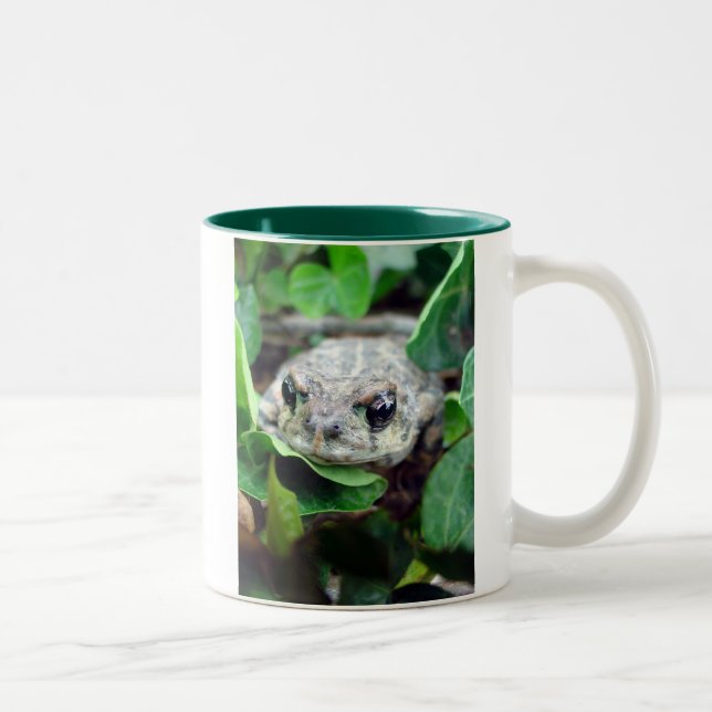 Ribbit, tasse à deux tons de Ribbit (Droit)