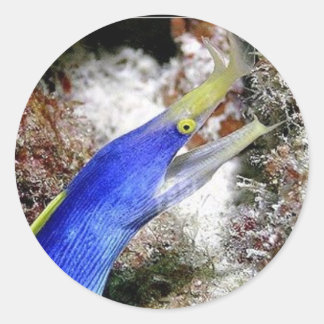 Ribbon Eel Classic Round Sticker
