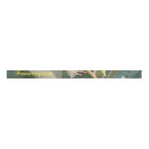 Ribbon NATURE design #mmetropolim design