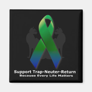 Ribbon of hope magnet