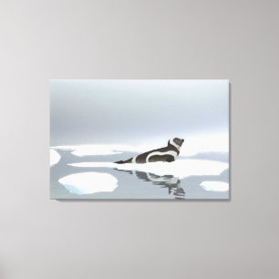 Ribbon Seal On Ice Canvas Print