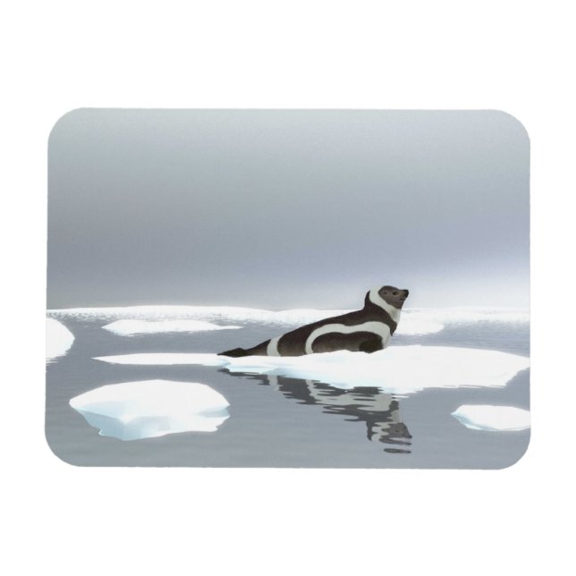 Ribbon Seal On Ice Magnet (Horizontal)