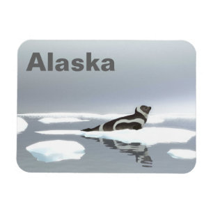 Ribbon Seal On Ice Magnet