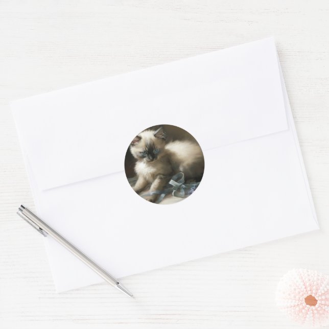 Ribbon Tangle Siamese Kitten Classic Round Sticker (Envelope)