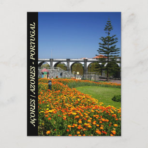 Ribeira Grande gardens Postcard