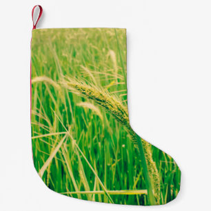 Rice field in rural and fresh,  vintage styleabstr small christmas stocking