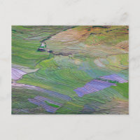 Rice paddies in Sapa