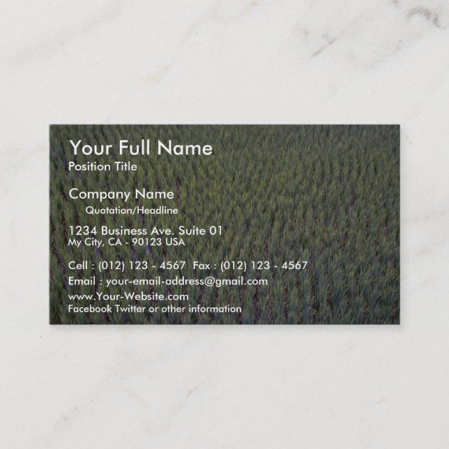 Rice paddy, Indonesia Business Card (Front)