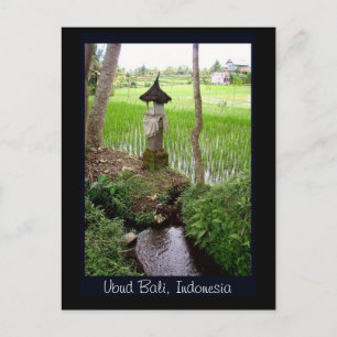 Rice Paddy, Temple, Ubud Bali, Indonesia Postcard