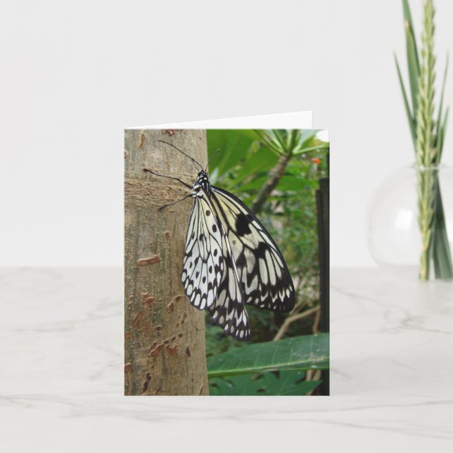 Rice Paper Butterfly Notecard (Front)
