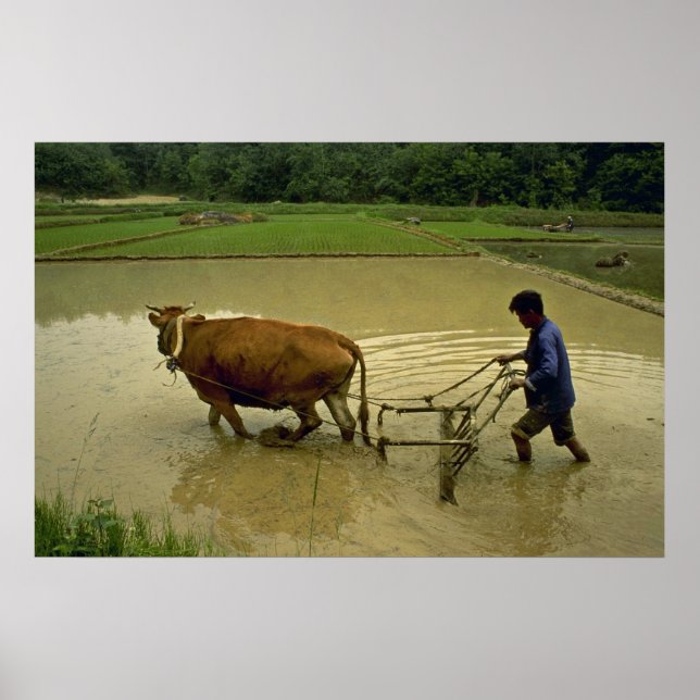 Rice Plough Poster (Front)