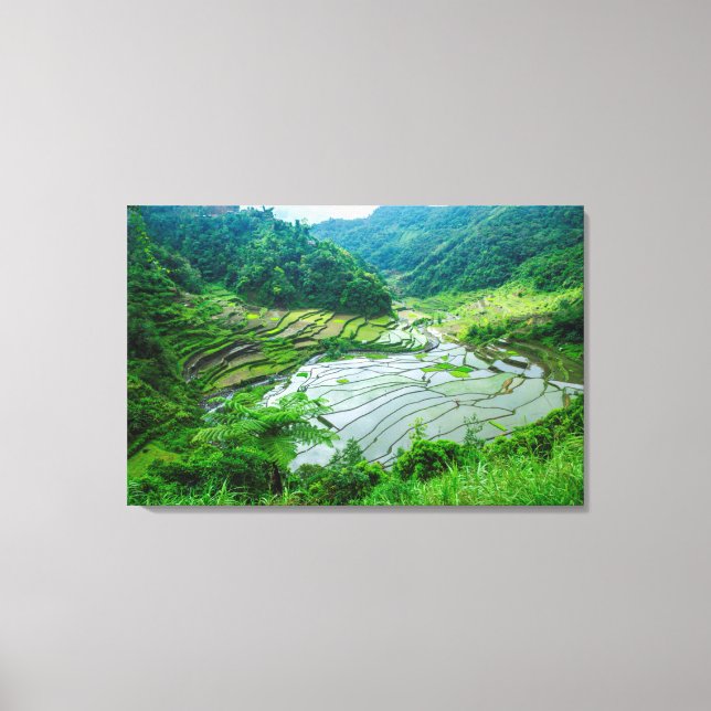 Rice terrace landscape, Philippines Canvas Print (Front)