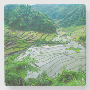 Rice terrace landscape, Philippines Stone Coaster
