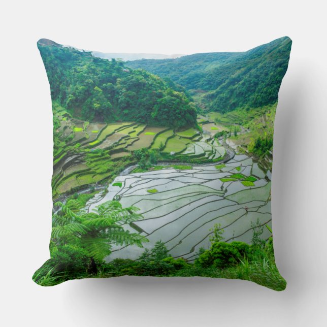 Rice terrace landscape, Philippines Throw Pillow (Front)