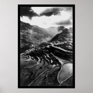 Rice Terrace Philippines 1898 Poster
