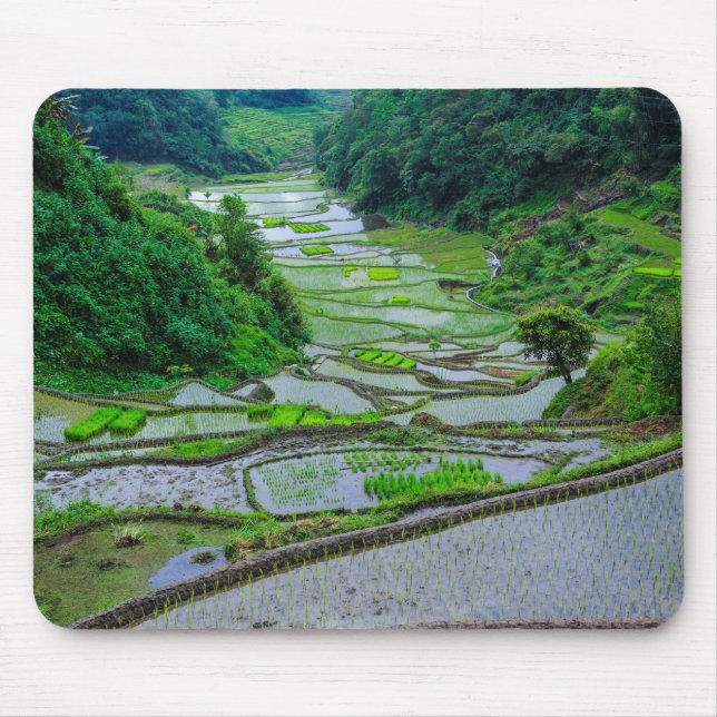 Rice Terraces of Banaue, Luzon Mouse Pad (Front)