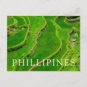 Rice Terraces Postcard