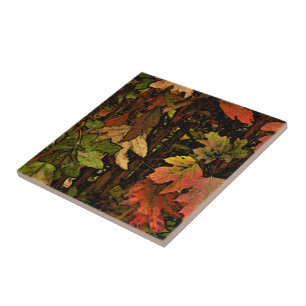 RICH, EARTHTONE COLORS/ FALL LEAVES/DIG. MANIP. TILE