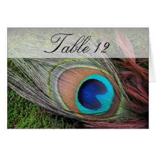 Rich Peacock Feather/Green Moss Table Number
