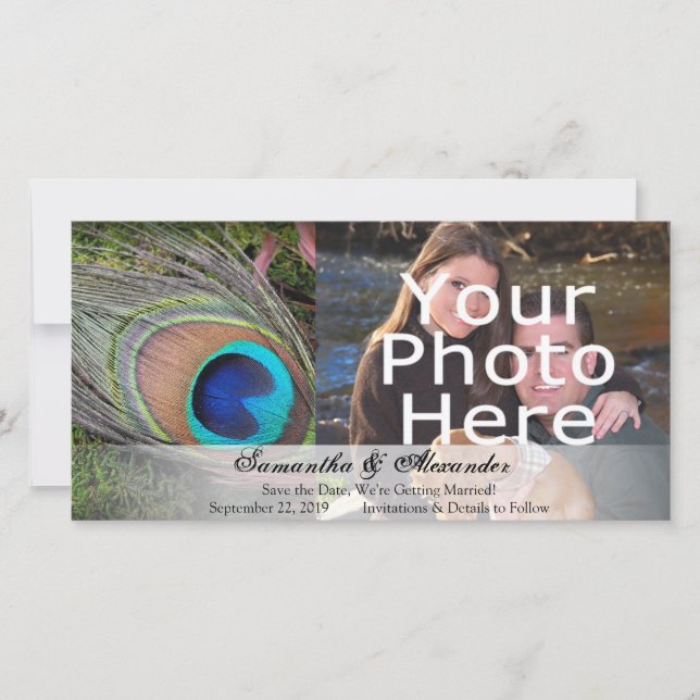 Rich Peacock Feather with Green Moss Save The Date (Front)