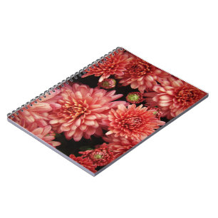 Rich Red Chrysanthemums Notebook