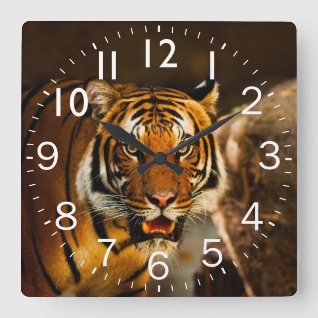 Rich Vibrant Tiger Square Wall Clock (Front)