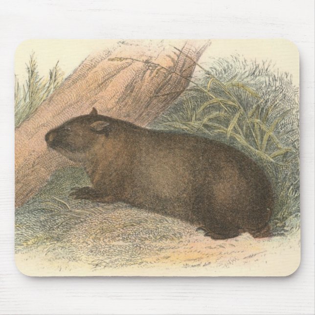 Richard Lydekker - Tasmanian Wombat Mouse Pad (Front)