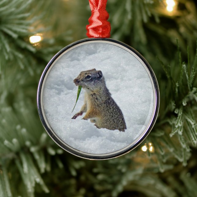 Richardson Ground Squirrel Metal Ornament (Tree)