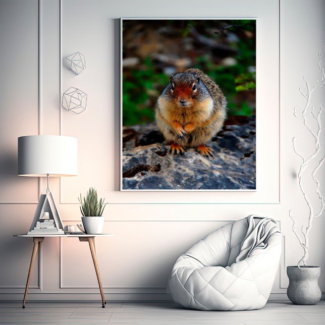 Richardson Ground Squirrel Photo Print (Creator Uploaded)