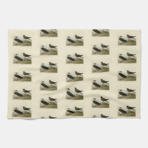Richardson's Jager from Audubon's Birds of America Kitchen Towel