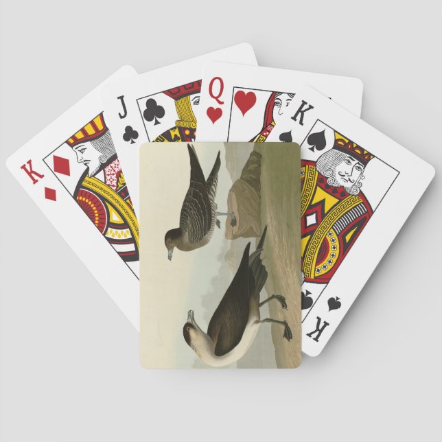 Richardson's Jager from Audubon's Birds of America Playing Cards (Back)